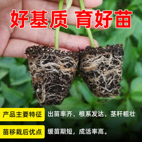 育苗基质有机营养土瓜果蔬菜种菜水稻家庭园艺通用基质