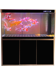 定制定做闽江鱼缸客厅大型落地底滤超白玻璃金龙水族箱免换水静音