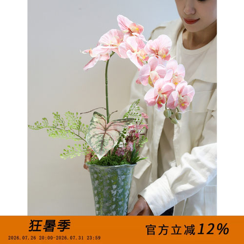 芙菡【糖糖原创】仿真蝴蝶兰桌面假花高端家居装饰摆件开业送礼
