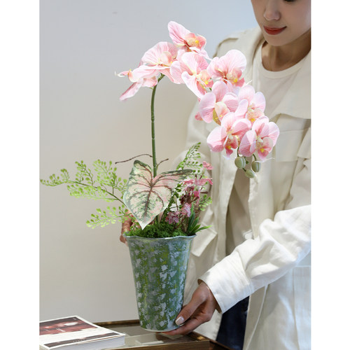 仿真蝴蝶兰桌面假花高端