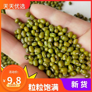新绿豆500g笨绿豆薄皮毛绿豆农家自产杂粮绿小豆散装5斤包邮