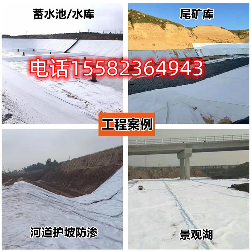 土工膜土工布复合蓄水池防水防渗护坡一膜河道土工隔膜两布PE图片