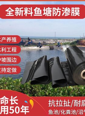 鱼池土工膜PE加厚复合养殖护坡专用黑色塑料布防漏地膜鱼塘防渗膜