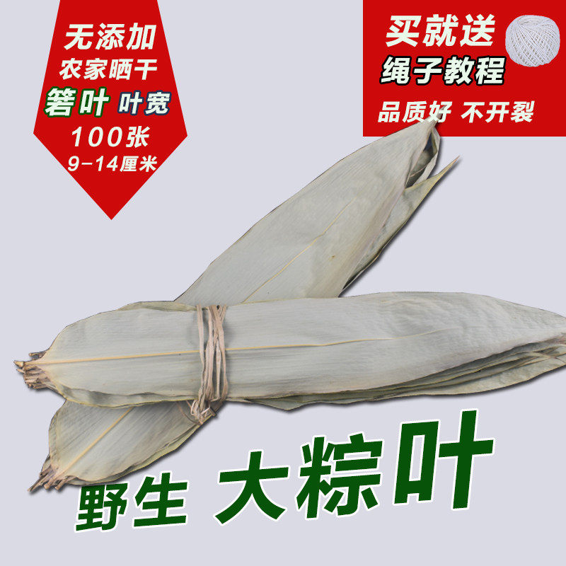 大号干粽叶特级粽子叶100张新鲜天然农家包粽子的箬叶免邮非麻叶