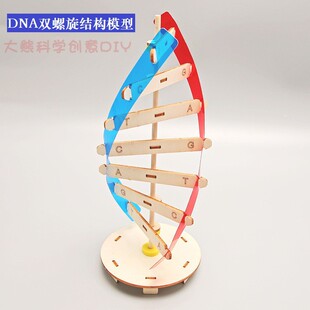 DNA双螺旋结构模型科技小制作手工diy人体基因生物科学实验器材料