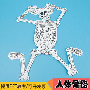 自制人体骨骼 认知幼儿园科普器材料包 手工DIY科技小制作骨头拼装