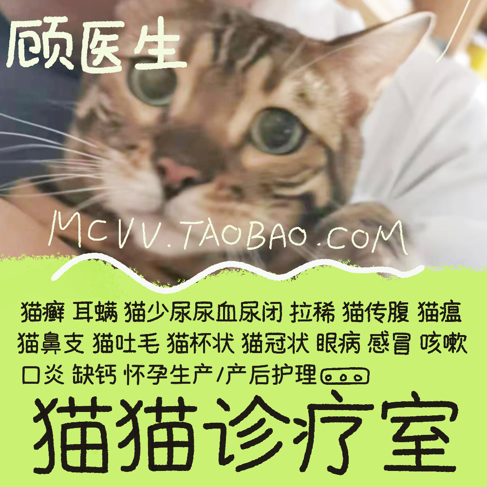 猫猫诊疗室兽医顾医生宠物医生在线咨询线上诊所在线看病诊疗咨询