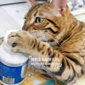 顾医生 猫维生素b猫藓宠物猫咪狗狗幼猫小猫奶藓营养维宠维b族片