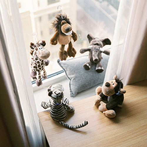 儿童节礼物毛绒玩具长颈鹿狮子老虎大象猴丑萌公仔布偶布娃娃玩偶 - 封面