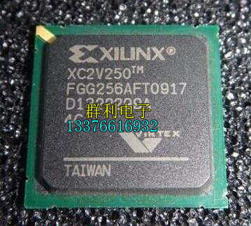 XC2V250-4FGG256C XC2V250-4FG256C XC2V250-5FGG256C