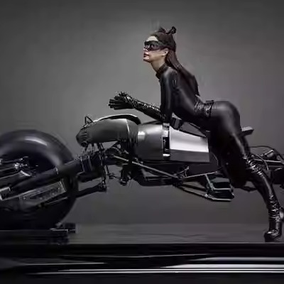 黑暗骑士猫定制女雕像herobox