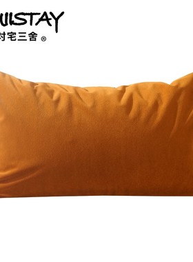 天鹅绒轻奢抱枕套60x80沙发靠垫套70x90加厚65x85不含芯定制尺寸