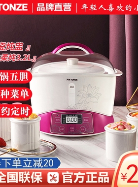 Tonze/天际 DGD-32EBG隔水炖电炖锅一锅五胆大容量盅预约煮粥煲汤