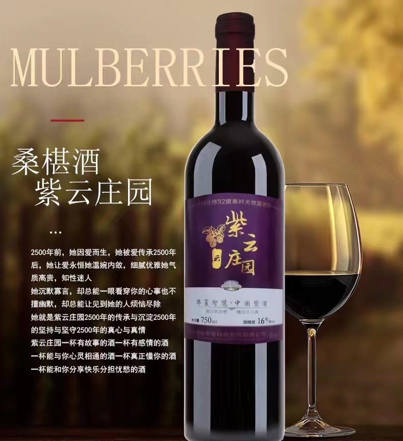 陕南石泉桑葚酒桑泡酒桑果酒自酿发酵桑甚酒16度750m紫酒红酒包邮