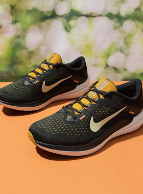 NIKE耐克男鞋AIR WINFLO10舒适耐磨缓震气垫跑步鞋DV4022-009-007