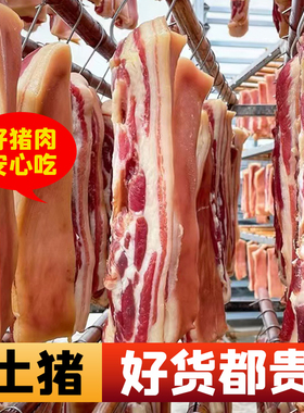 河南特产五花腊肉农家风干自制咸肉五花肉固始腊货非烟熏肋条坐板