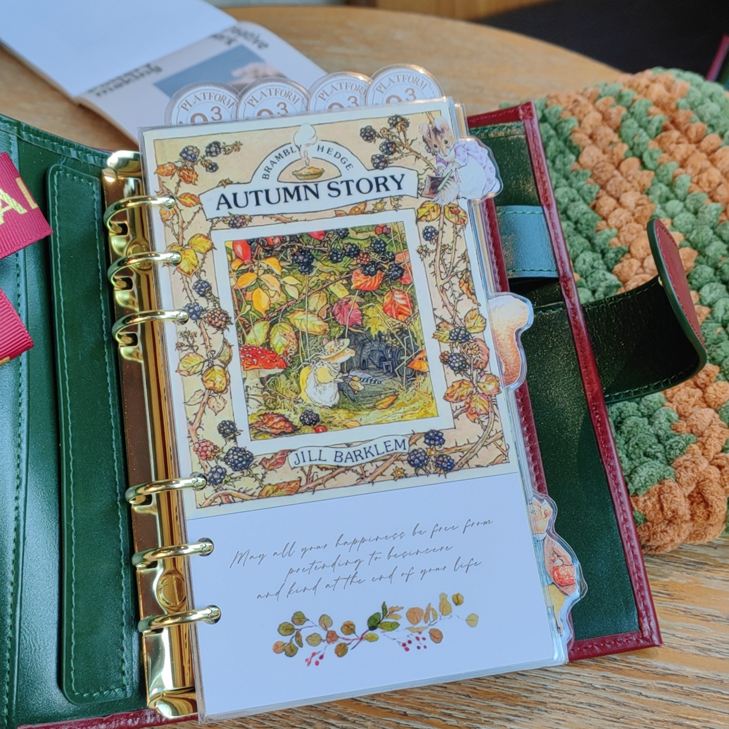 QY野蔷薇插画A5A6A7奇葩M5方方子A5slim手工塑封分隔页田园索引