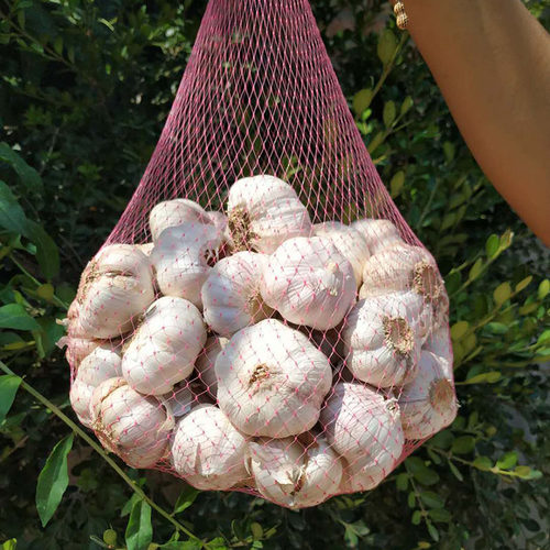 山东紫皮大蒜干蒜头精品蒜