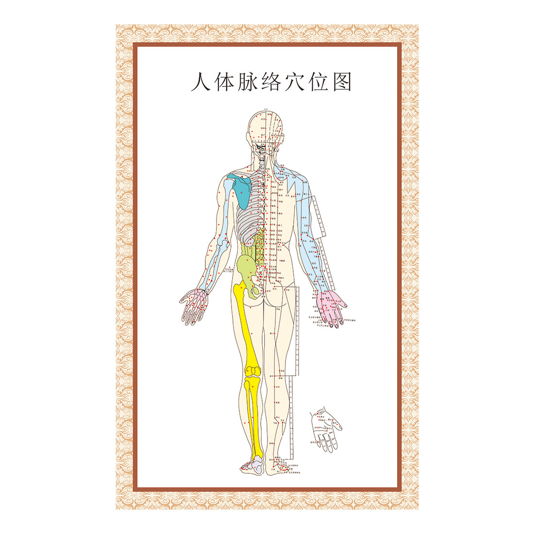 人体脉络穴位图挂画 中医脏腑理论经脉图挂图海报 中医馆墙贴画