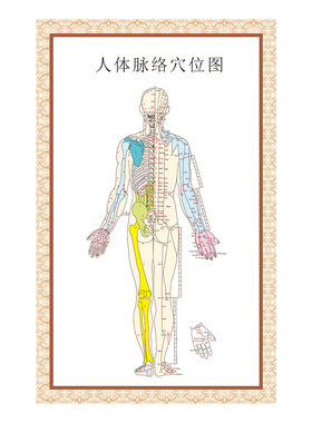 人体脉络穴位图挂画 中医脏腑理论经脉图挂图海报 中医馆墙贴画