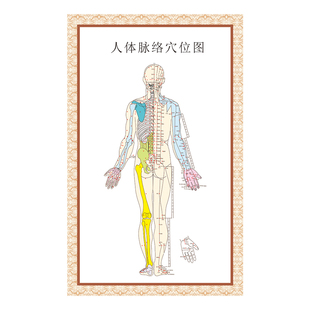 人体脉络穴位图挂画 中医脏腑理论经脉图挂图海报 中医馆墙贴画