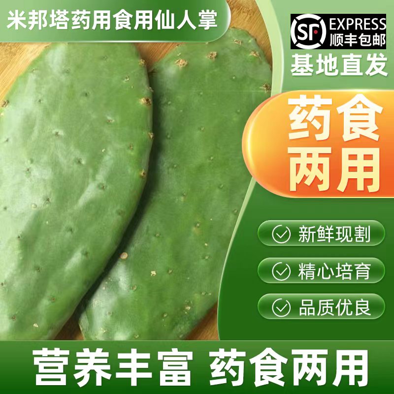 包 邮 正宗墨西哥米邦塔仙人掌盆栽药用食用外敷老片 鲜花速递/花卉仿真/绿植园艺 多肉植物 原图主图