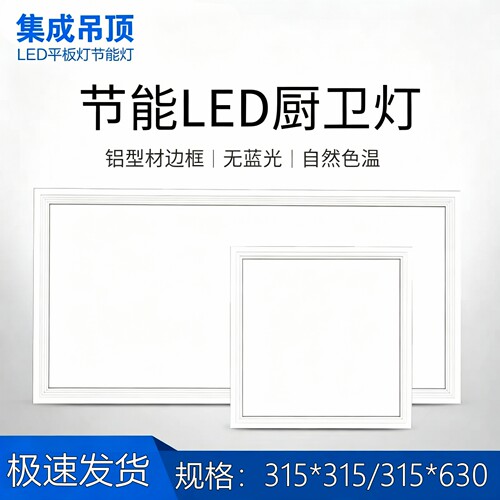 ZM63ZA315630来斯奥集成吊顶照明