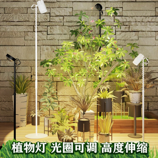 高度伸缩聚光多波段仿阳光全光谱室内家用定时植物补光水草灯