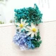 D2 Blue Flower Material/1 коробка из 2 белых цветов