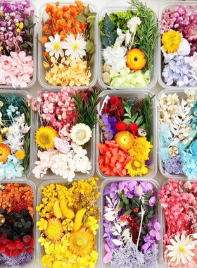 永生花材料包干花相框团扇画贺卡干花手工天然真花盒滴胶diy沙龙
