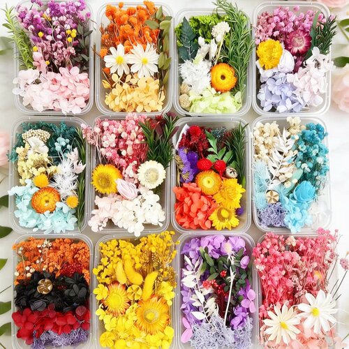 永生花材料包干花相框团扇画贺卡干花手工天然真花盒滴胶diy沙龙