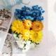 Zou Chrysanthemum Blue Flower Material/1 коробка