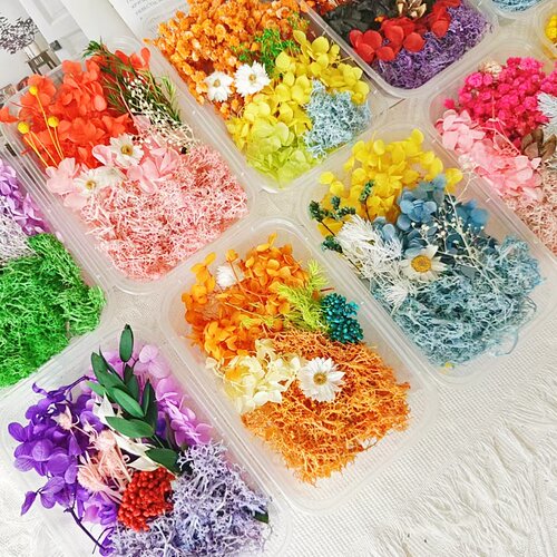 永生花干花diy材料包混装花盒混合干花手工相框空白团扇永生花瓣