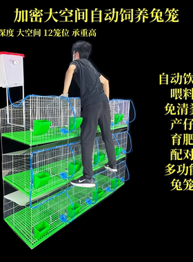 兔笼配对肉兔商品兔育肥笼母兔产仔笼长毛种兔12笼位加粗密兔笼子