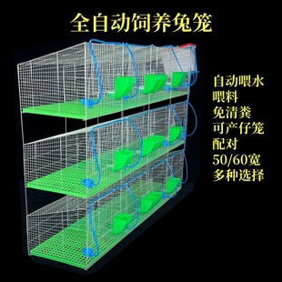 兔笼配对肉兔商品兔育肥笼母兔产仔笼长毛种兔12笼位加粗密兔笼子