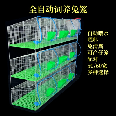 獭兔志昂子母兔笼加密塑料底
