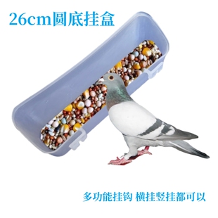 食盒水盒加大圆底信鸽肉鸽养殖防溅刨食白色透明加厚鸡鸟用纯料盒
