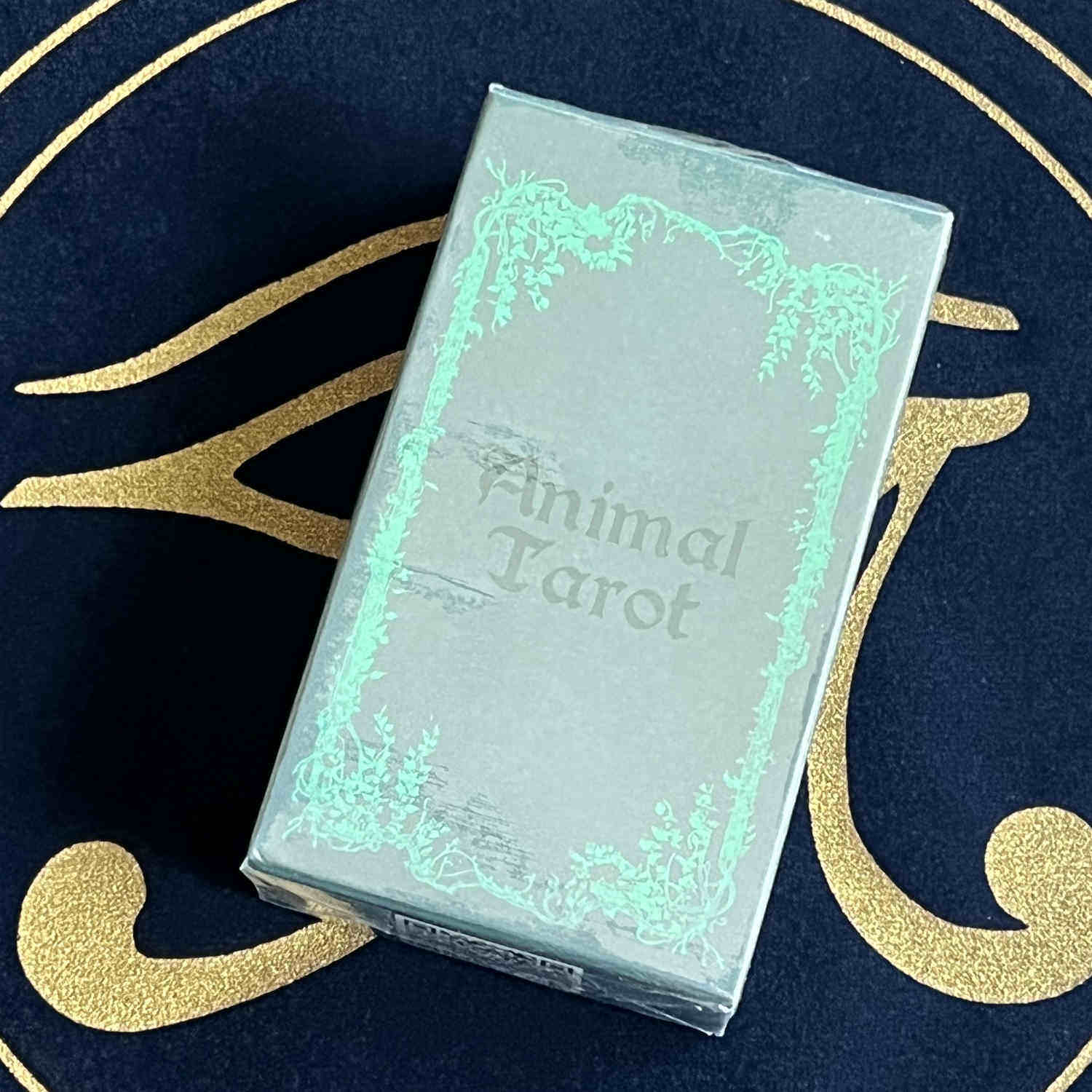 包邮 animal tarot 小动物塔罗牌 英文卡罗牌桌游