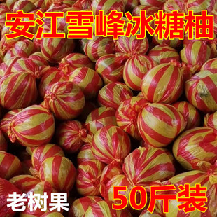 湖南怀化安江雪峰冰糖柚50斤新鲜水果老树小苦柚药柚子安福金兰柚