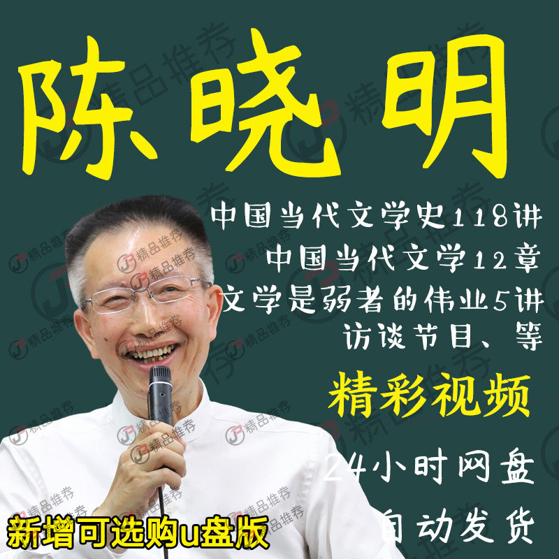 陈晓明中国当代文学史118讲视频教程讲座演讲全套合集全集图片