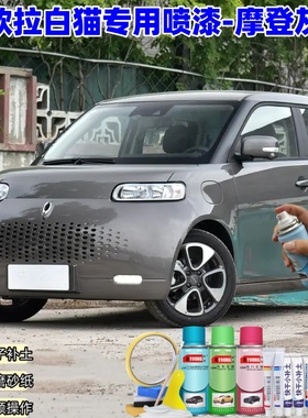 欧拉白猫摩登灰色自喷漆汽车漆划痕修复原厂专用手喷油漆补漆笔