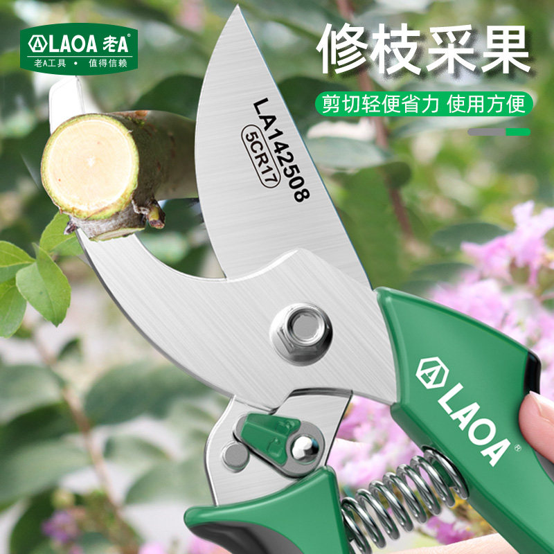 老A 多功能8寸园艺剪树枝剪果枝剪园林剪不锈钢修枝剪果树家用剪,五金/工具,园艺剪,淘宝优惠券,粉丝福利购,淘宝优惠卷