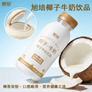 旭培椰子牛奶饮品338ml椰汁生椰椰奶椰乳果汁瓶装 植物蛋白饮料