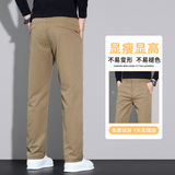2025秋季商务休闲裤男士上班小脚修身直筒西裤大码长裤子6983/p30，男装西裤，星座223-1（原星座201）