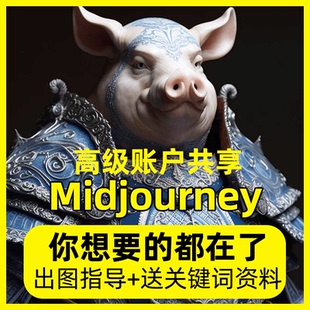 Midjourney高级会员共享无限量出图mj绘图画图直接使用包售后