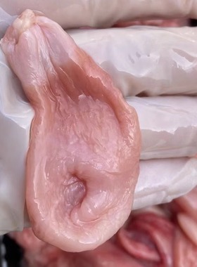 巴沙鱼肚新鲜冷冻石斑龙胆鱼泡鱼扣鱼鳔1000g袋装超值爆款