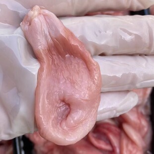 巴沙鱼肚新鲜冷冻石斑龙胆鱼泡鱼扣鱼鳔1000g袋装超值爆款