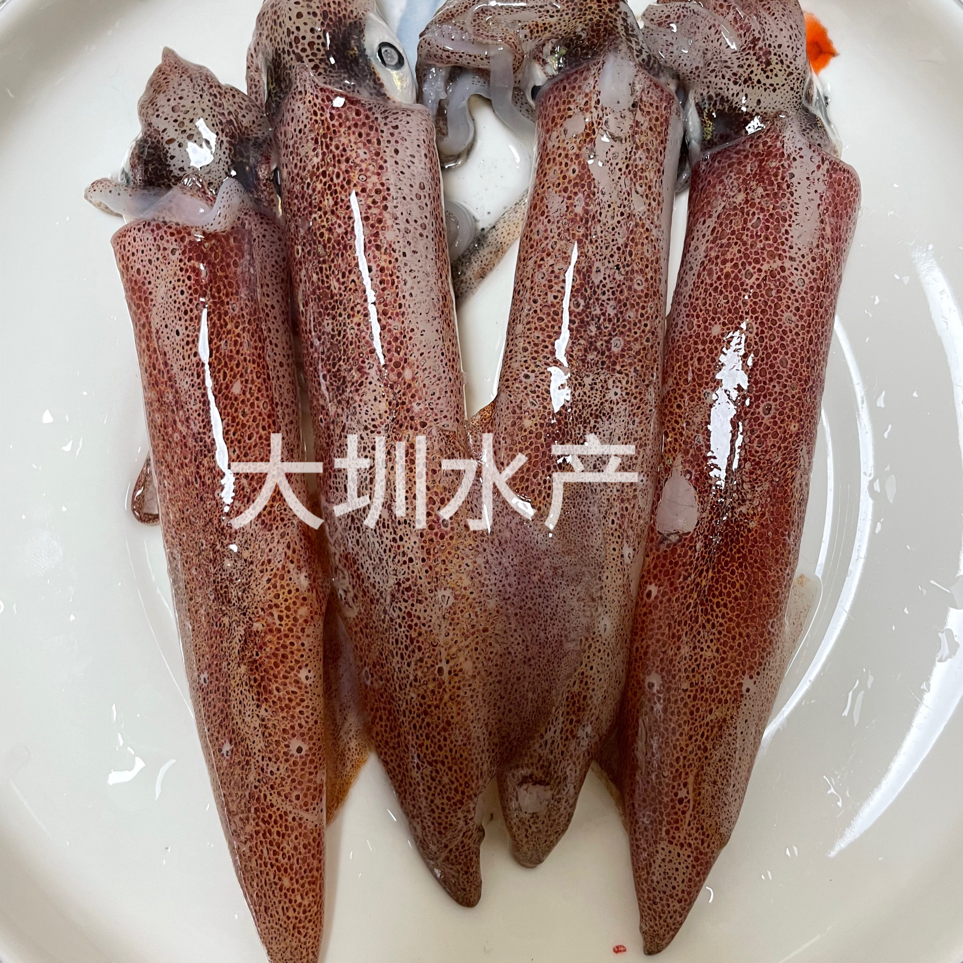 活冻小管鱿鱼手钓红管鱿鱼一口管脆管野生灯捕速冻400g一盒4-10条