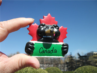 加拿大当地购买冰箱贴 黑熊抱牌牌 加拿大原产CANADA MAGNET 枫叶