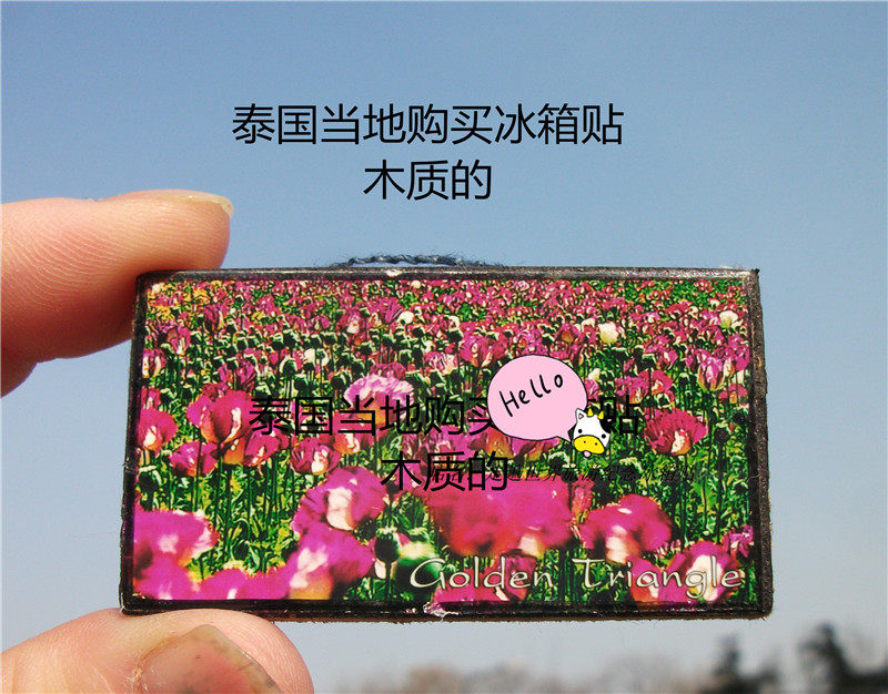 THAILAND LOCAL PURCHASE OF REFRIGERATOR MAGNETS WOODEN REFRIGERATOR MAGNETS TWO TYPES